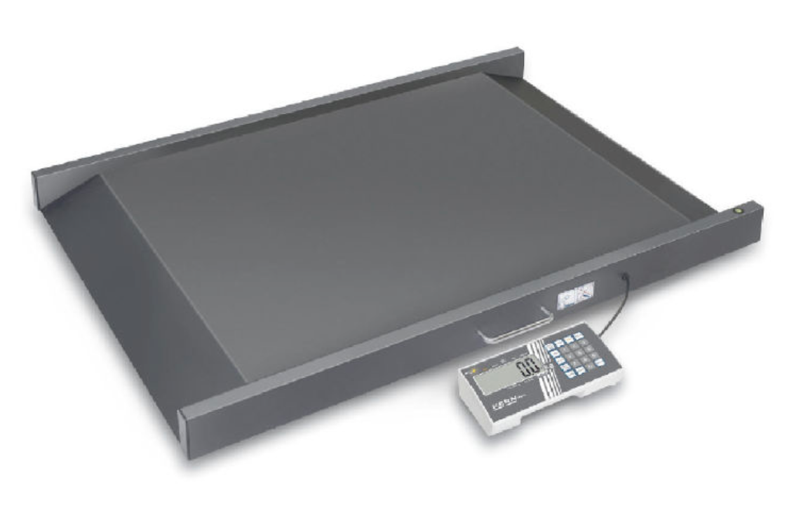Báscula para silla de ruedas KERN MWS 300K100M